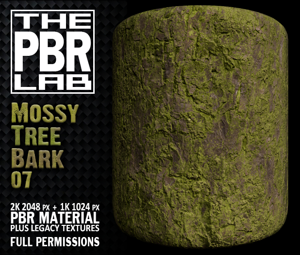 The PBR Lab - Mossy Tree Bark 07
