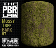 The PBR Lab - Mossy Tree Bark 07