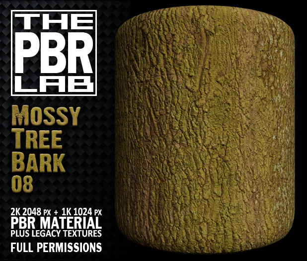 The PBR Lab - Mossy Tree Bark 08