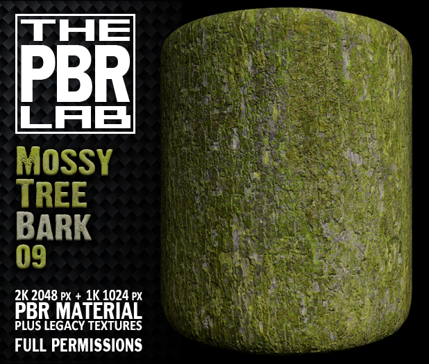The PBR Lab - Mossy Tree Bark 09
