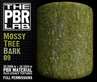 The PBR Lab - Mossy Tree Bark 09