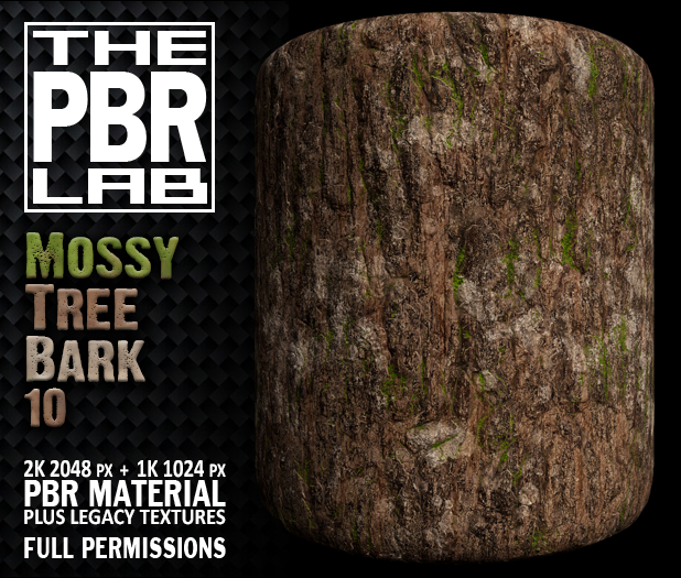 The PBR Lab - Mossy Tree Bark 10