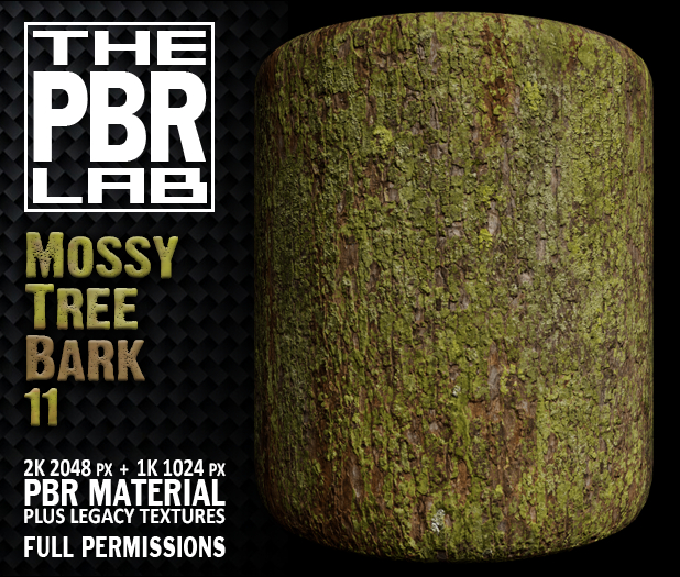 The PBR Lab - Mossy Tree Bark 11