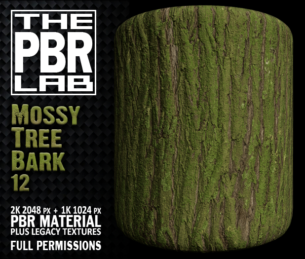 The PBR Lab - Mossy Tree Bark 12