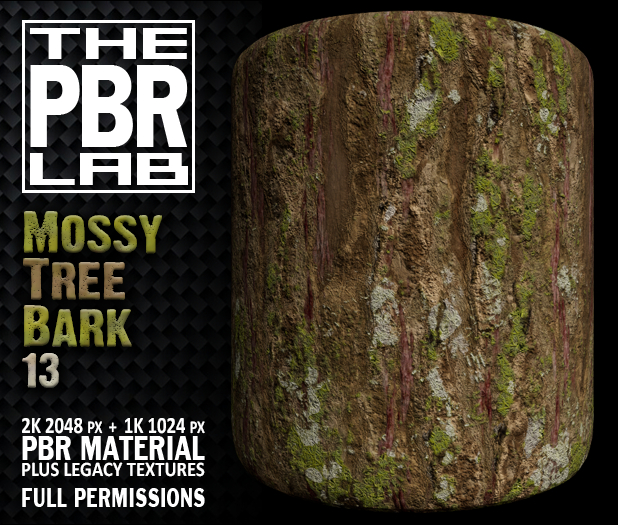 The PBR Lab - Mossy Tree Bark 13