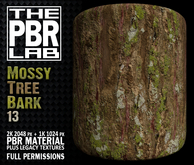 The PBR Lab - Mossy Tree Bark 13
