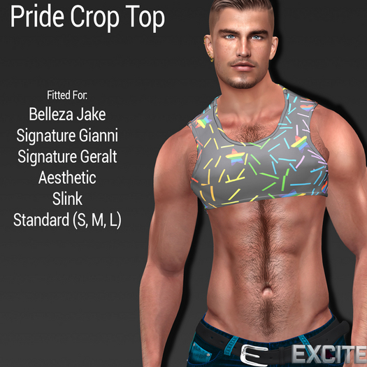Excite Pride Crop Top