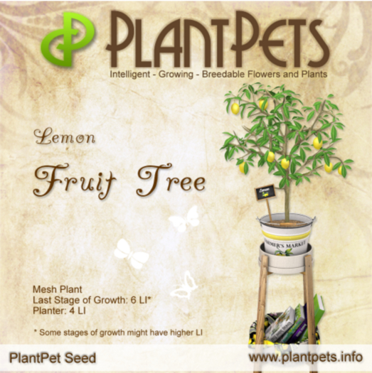 PlantPet Seed [Fruit Tree *Lemon*]