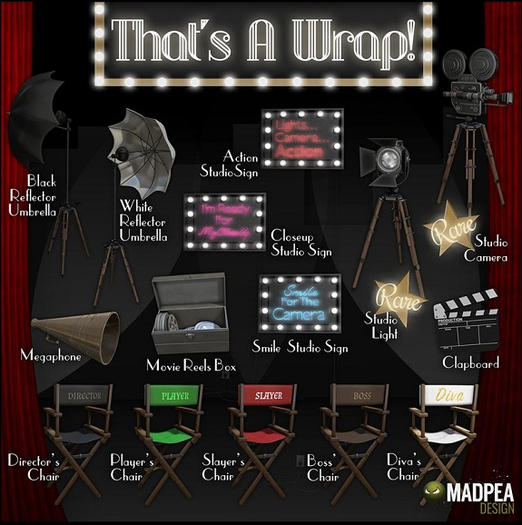MadPea That's a Wrap - Studio Camera RARE