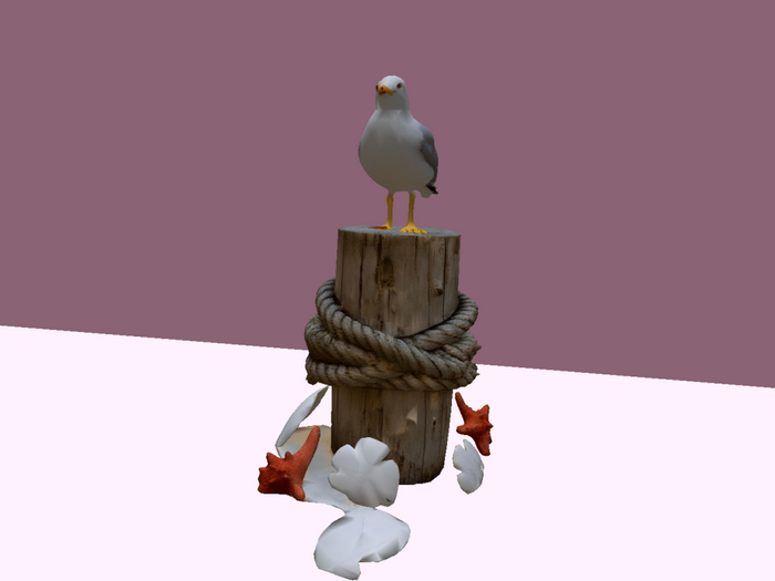 stump with seagull and shells
