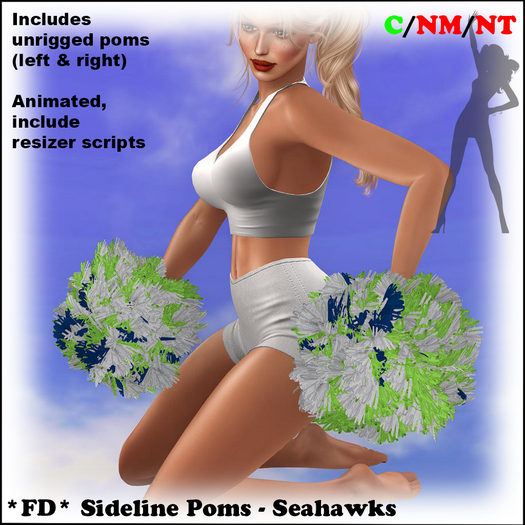 *FD* Sidelines Poms [Boxed] Seahawks