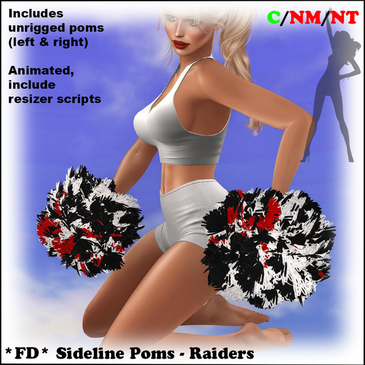 *FD* Sidelines Poms [Boxed] Raiders