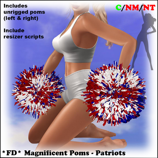 *FD* Sidelines Poms [Boxed] Patriots