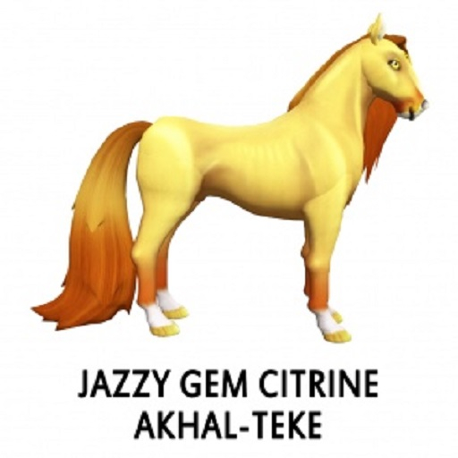 Citrine AkhalTeke F