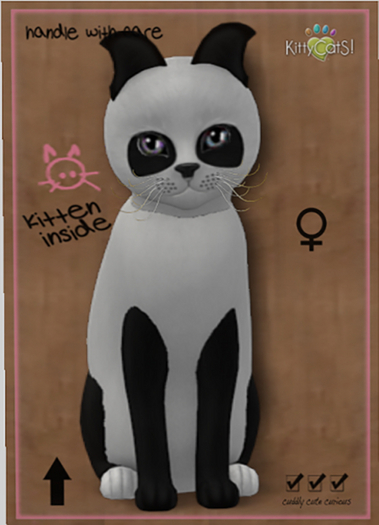 KittyCatS Box - New Born Kitten