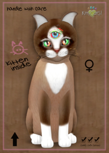 KittyCatS Box - Chateau Cat - Toffee Caramel - Full 9 Traits
