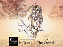 [:: MS ::] Wall Graffiti - The Owl