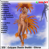 *FD* Calypso Outfit [Boxed] Citrus
