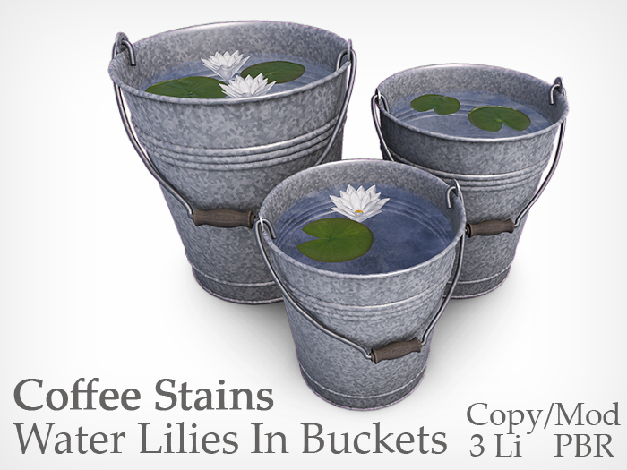Coffee Stains - Lilies In Buckets 