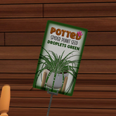 Potted: Spider Plant Seed: Droplets Green