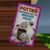 Potted: Philodendron Seed: Whisker Wilds