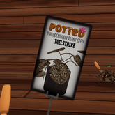 Potted: Philodendron Seed: Tailstrike