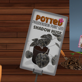 Potted: Philodendron Seed: Shadow Husk