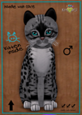 KittyCatS Box - Genesis - Bandit II male♂
