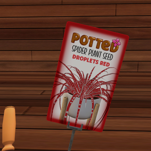 Potted: Spider Seed: Droplets Red