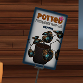 Potted: Philodendron Seed: Gemini