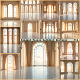 Elegant Palace Backdrop Textures
