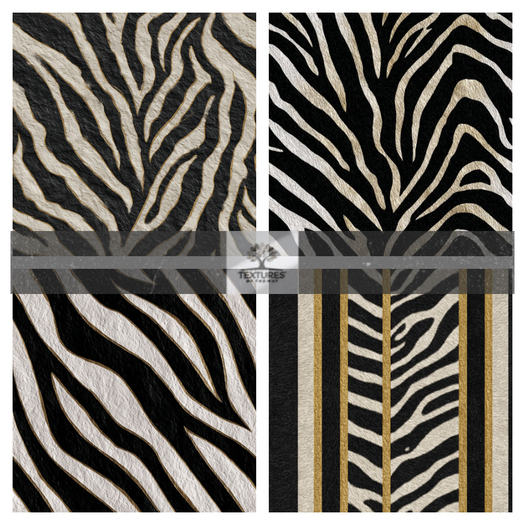 TB - ZEBRA STATEMENT WALLPAPER