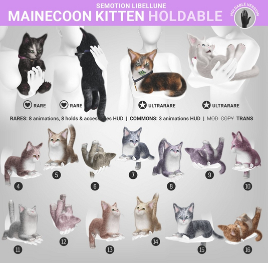 SEmotion Libellune Mainecoon Kitten Holdable COMMON 13