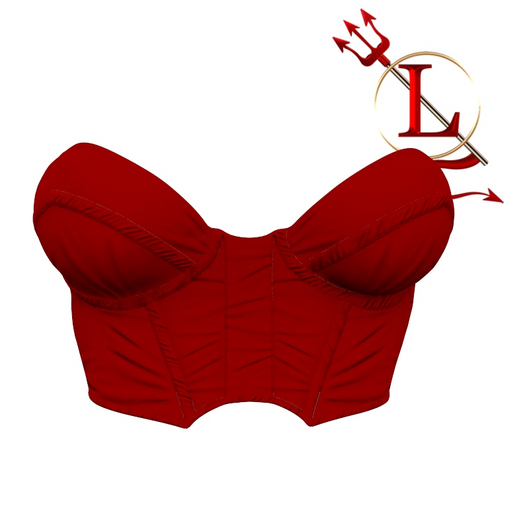 Bustier Top REBORN