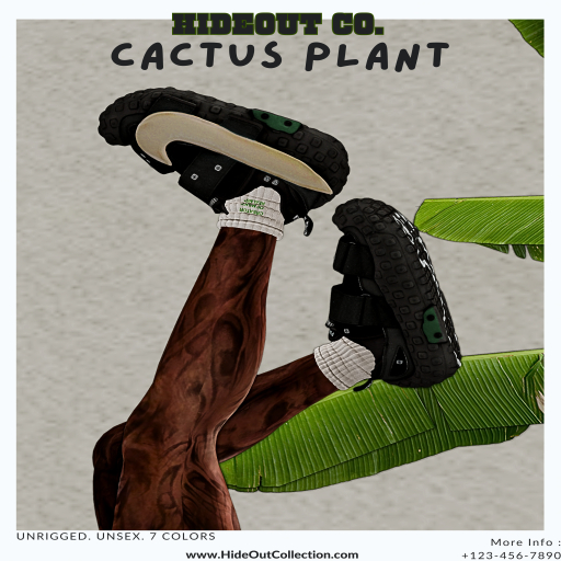 #HC - Cactus Plant FatPack