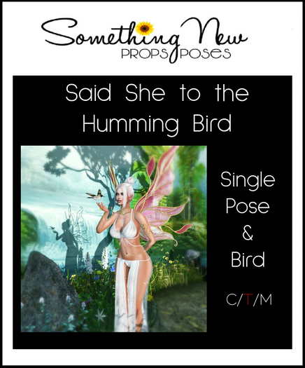 **SN~ Said She to the HummingBird