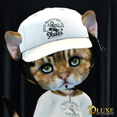*DLUXE* DINKIES ROOK BASEBALL CAP* white