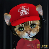 *DLUXE* DINKIES ROOK BASEBALL CAP* red