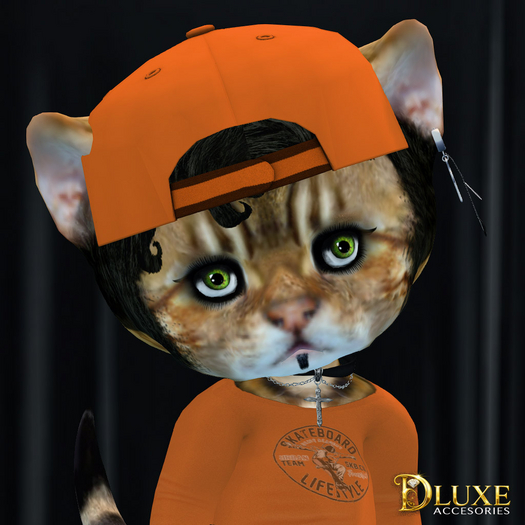 *DLUXE* DINKIES ROOK BASEBALL CAP* orange