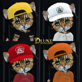 *DLUXE* DINKIES ROOK BASEBALL CAP* FATPACK