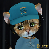 *DLUXE* DINKIES ROOK BASEBALL CAP* blue