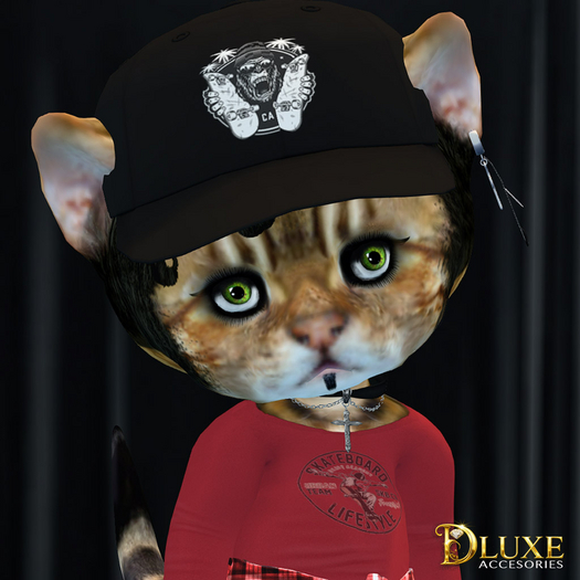 *DLUXE* DINKIES ROOK BASEBALL CAP* black