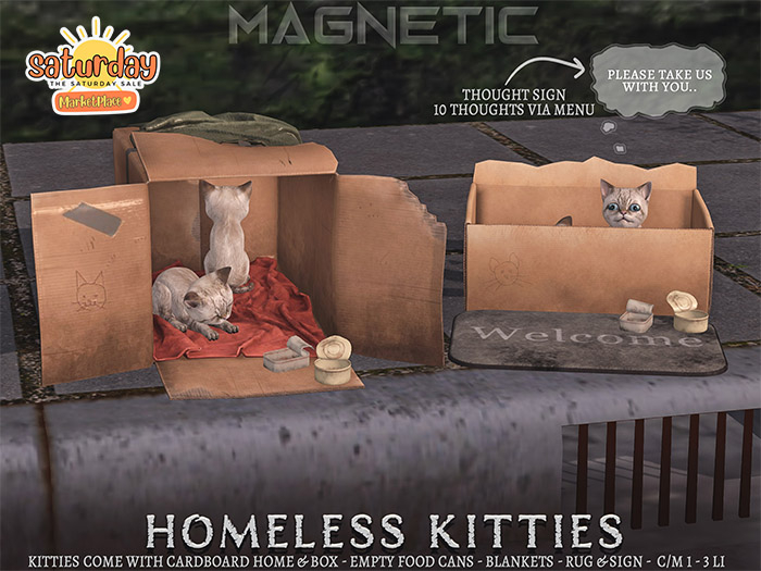 Magnetic - Homeless Kitties