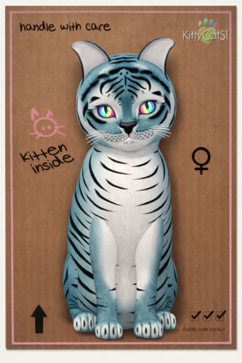KittyCatS Box - Jewel Iris