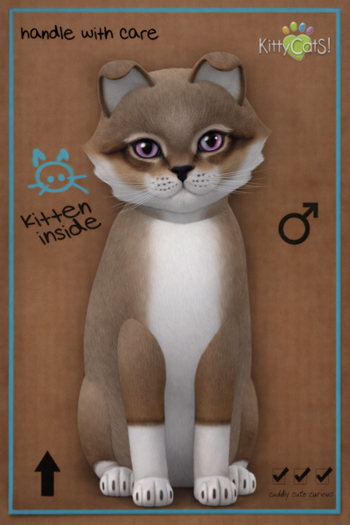 KittyCatS Box - Colin