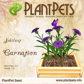 ~ TEXTURE ONLY ~ PlantPet Seed [Carnation Jubilant] - RARE