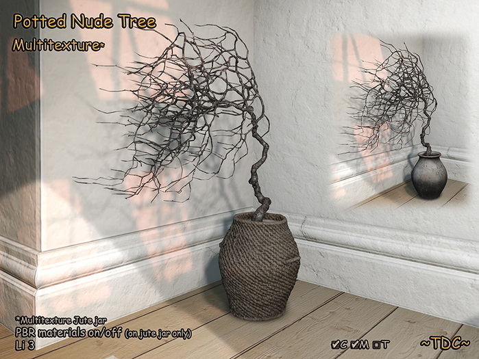 Potted Nude Tree