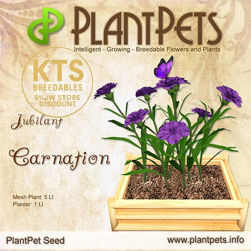 PlantPet Seed [Carnation *Jubilant*] RARE