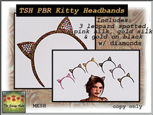 TSH   PBR Kitty Headbands