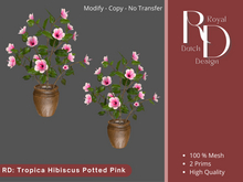 RD: Tropica Hibiscus Pink Potted